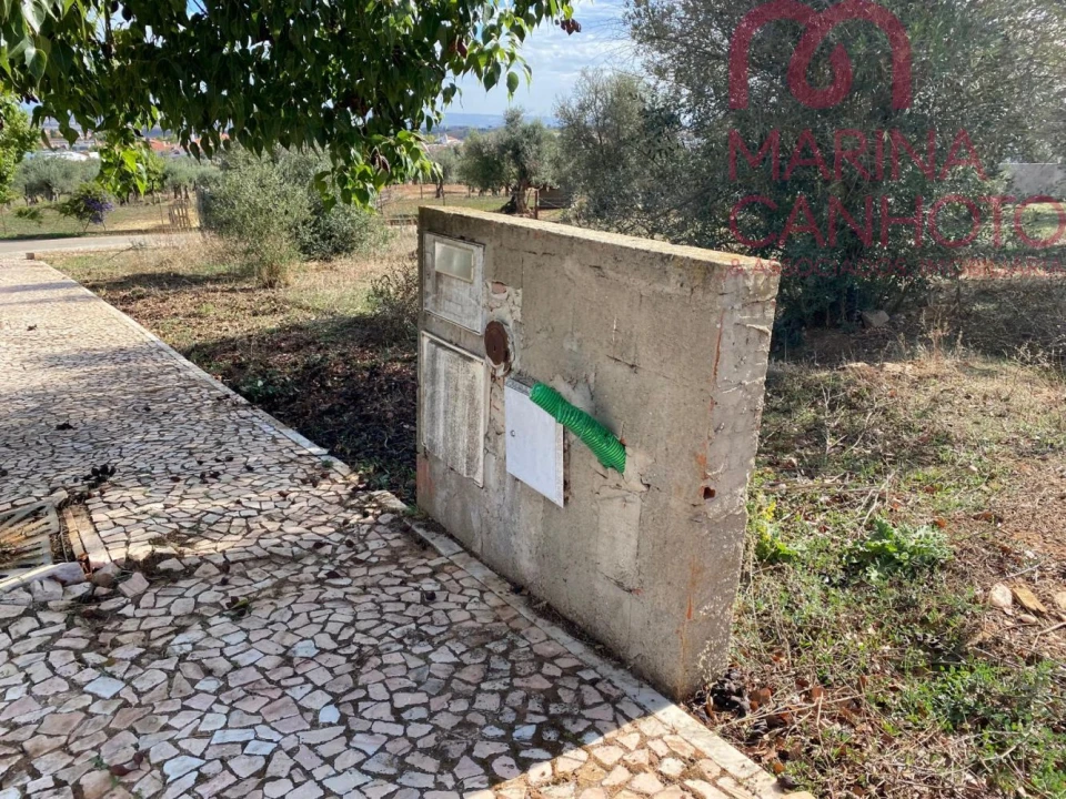 Terreno para Venda em Borba (Matriz) Foto 18