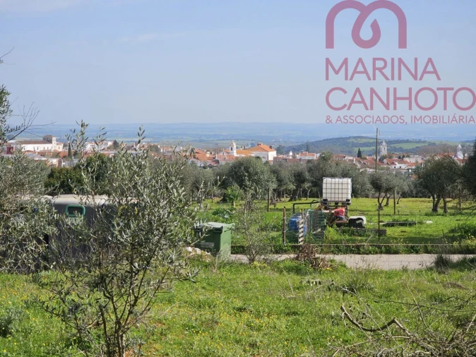 Terreno para Venda em Borba (Matriz) Foto 19