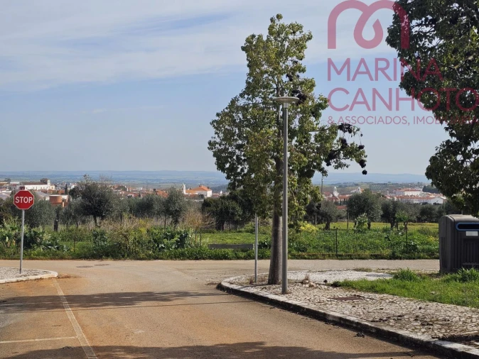 Terreno para Venda em Borba (Matriz) Foto 2