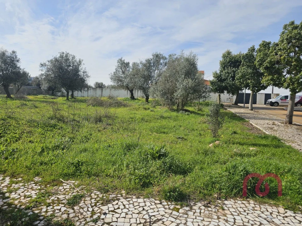 Terreno para Venda em Borba (Matriz) Foto 4