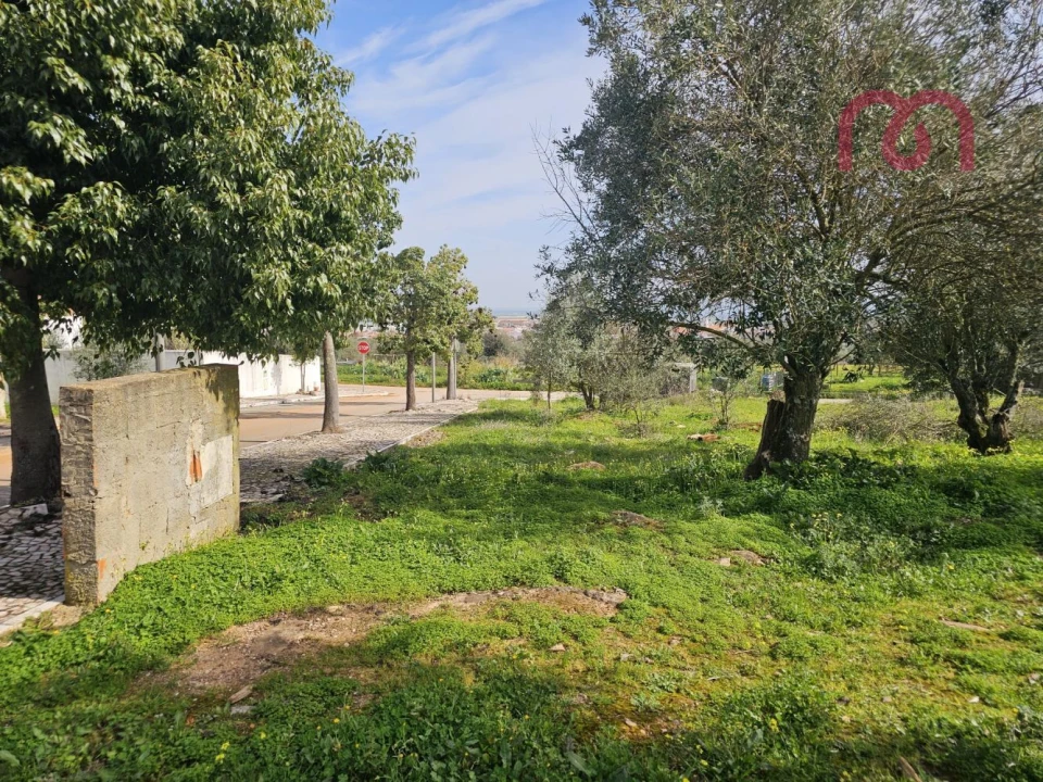 Terreno para Venda em Borba (Matriz) Foto 9