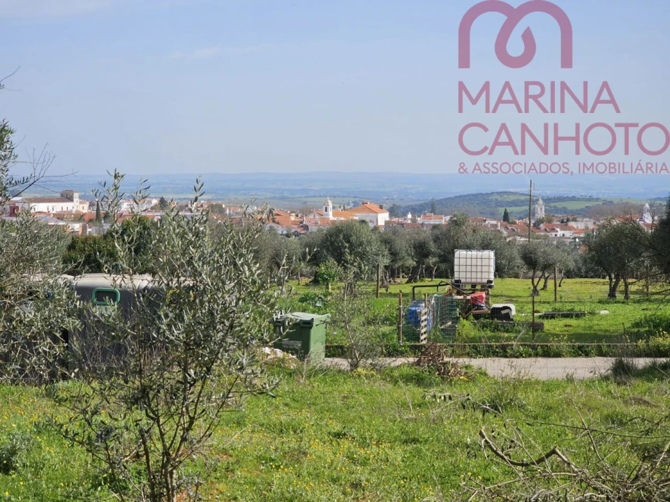 Terreno para Venda em Borba (Matriz) Foto 19