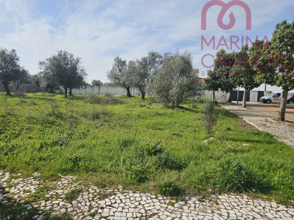 Terreno para Venda em Borba (Matriz) Foto 4