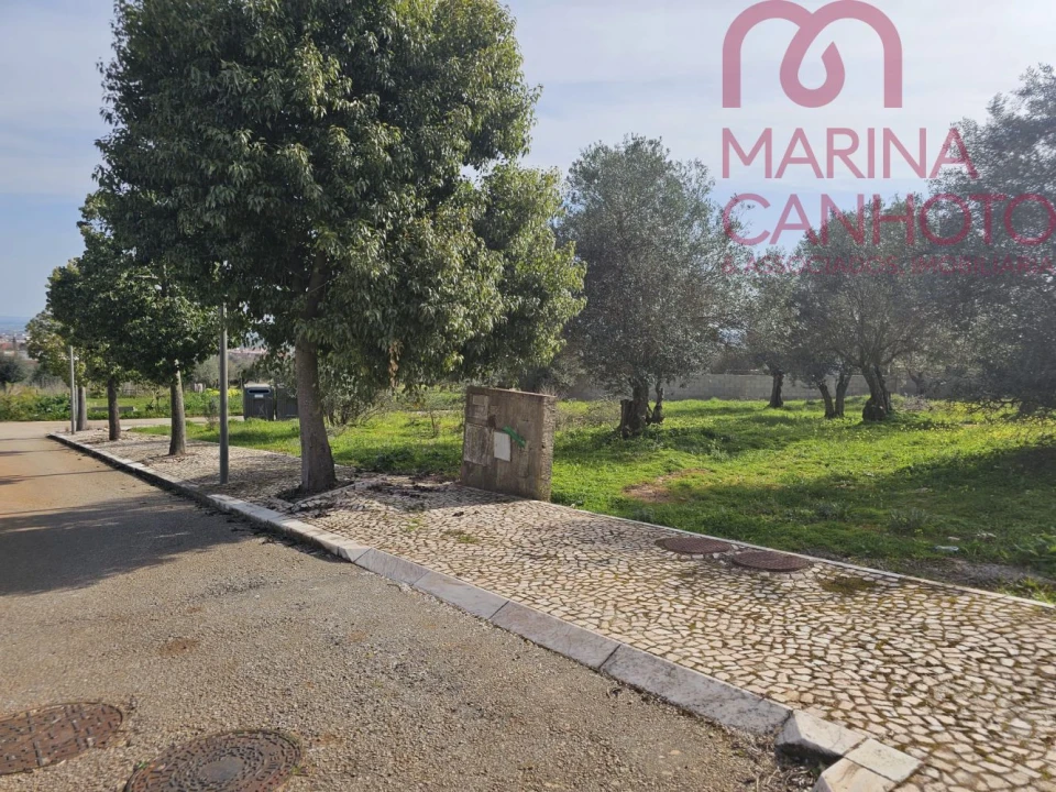 Terreno para Venda em Borba (Matriz) Foto 14