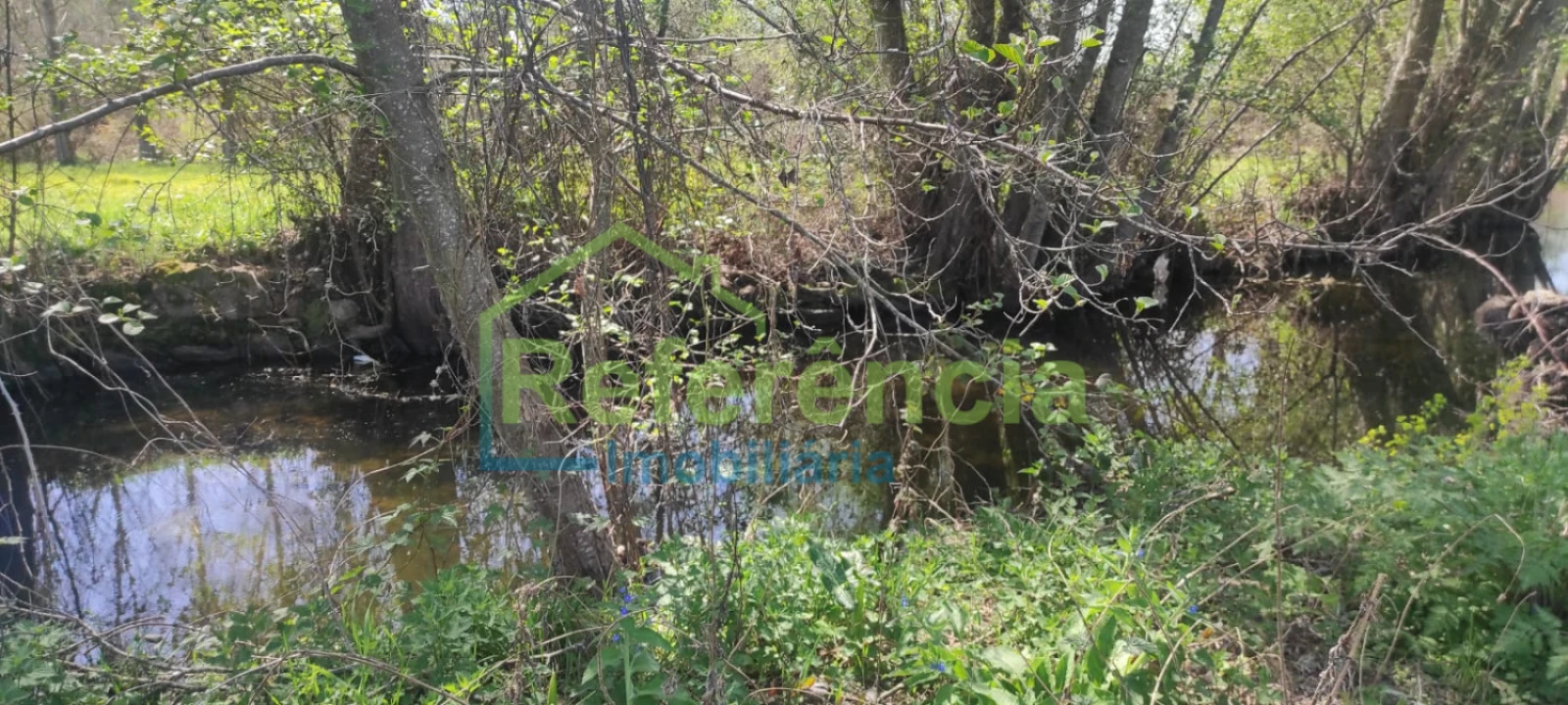 Terreno para Venda em Santa Maria Maior Foto 10