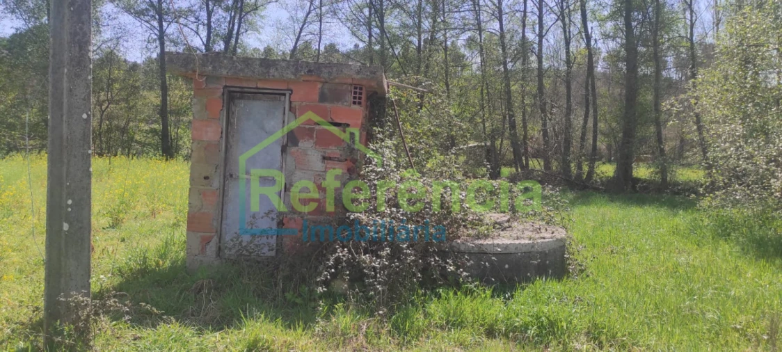 Terreno para Venda em Santa Maria Maior Foto 7