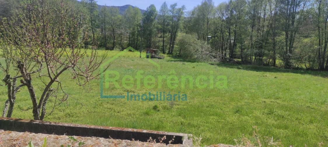 Terreno para Venda em Santa Maria Maior Foto 5