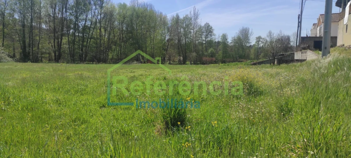 Terreno para Venda em Santa Maria Maior Foto 4