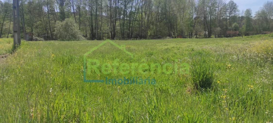 Terreno para Venda em Santa Maria Maior Foto 3