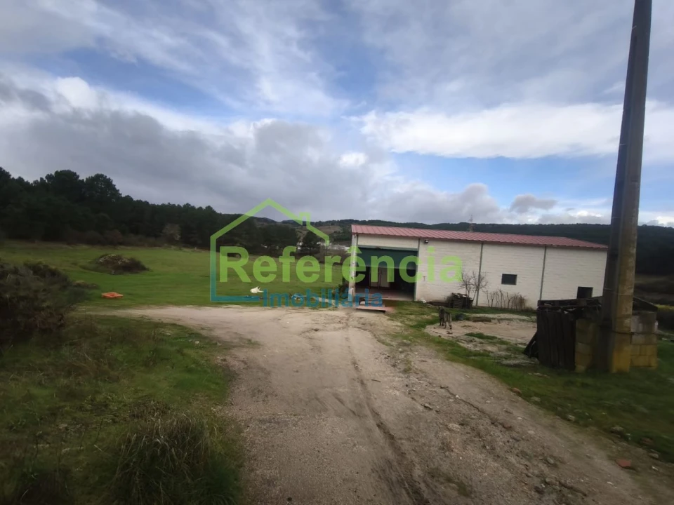 Loja para Venda em São Pedro de Agostem Foto 8