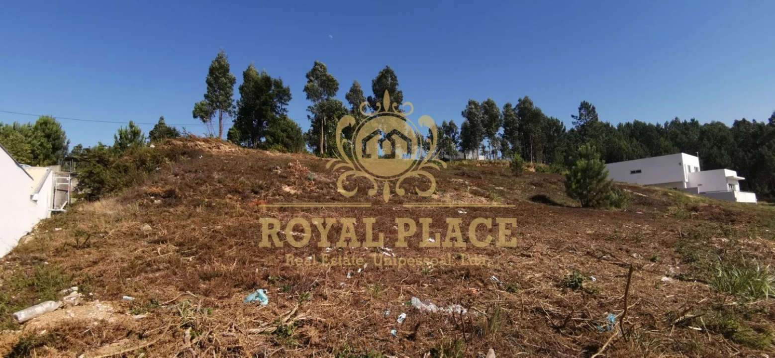 Terreno para Venda em Sanguedo Foto 5