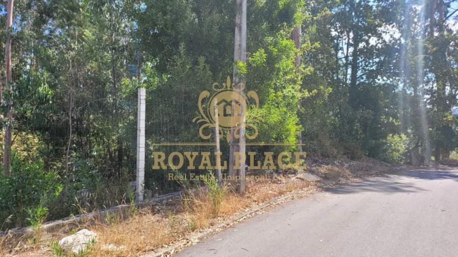 Terreno para Venda em Sanguedo Foto 3