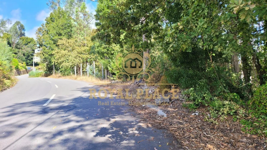 Terreno para Venda em Sanguedo Foto 2