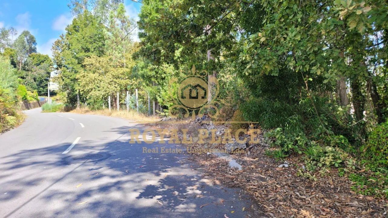 Terreno para Venda em Sanguedo Foto 2