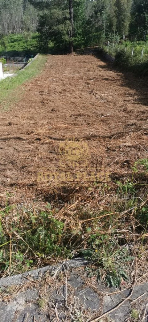 Terreno para Venda em Canedo, Vale e Vila Maior