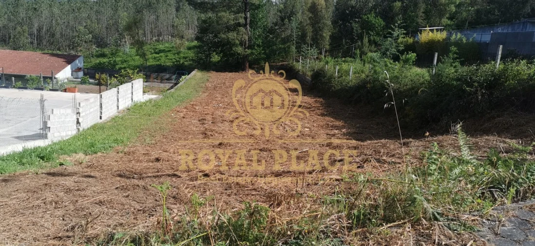 Terreno para Venda em Canedo, Vale e Vila Maior Foto 8