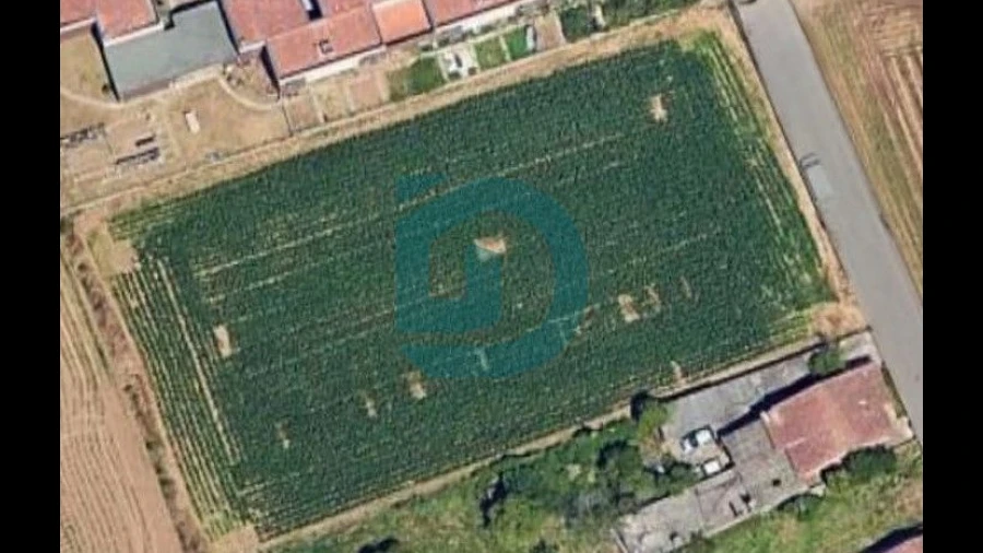 Terreno para Venda em Vilar e Mosteiró