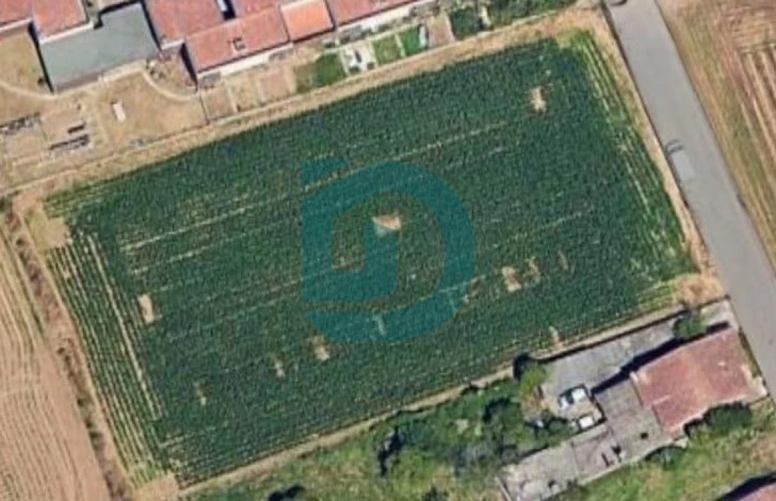 Terreno para Venda em Vilar e Mosteiró Foto 1