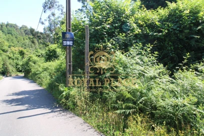 Terreno para Venda em Avintes