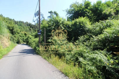 Terreno para Venda em Avintes