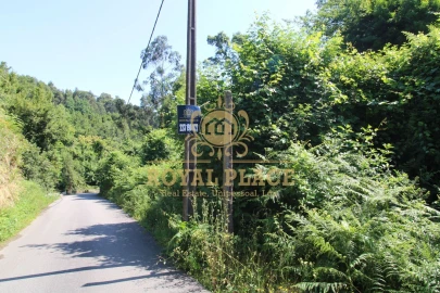 Terreno para Venda em Avintes