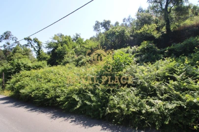 Terreno para Venda em Avintes