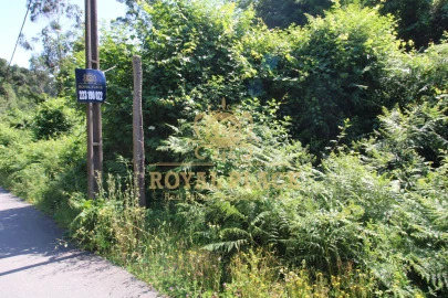 Terreno para Venda em Avintes