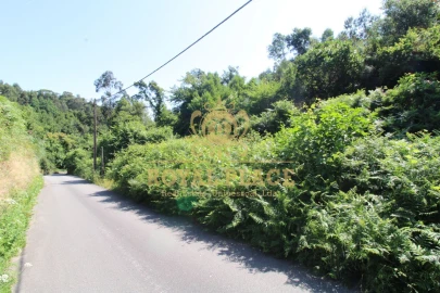 Terreno para Venda em Avintes