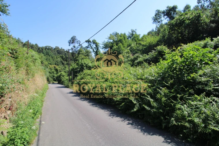 Terreno para Venda em Avintes Foto 10