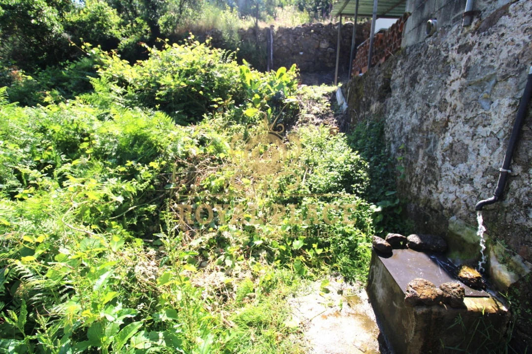 Terreno para Venda em Avintes Foto 2