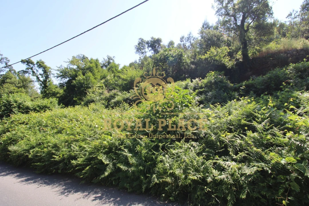 Terreno para Venda em Avintes Foto 5