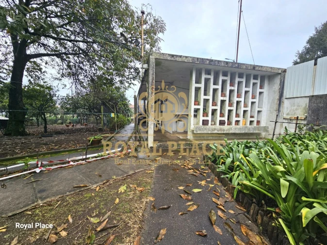 Moradia T4 para Venda em Argoncilhe Foto 29