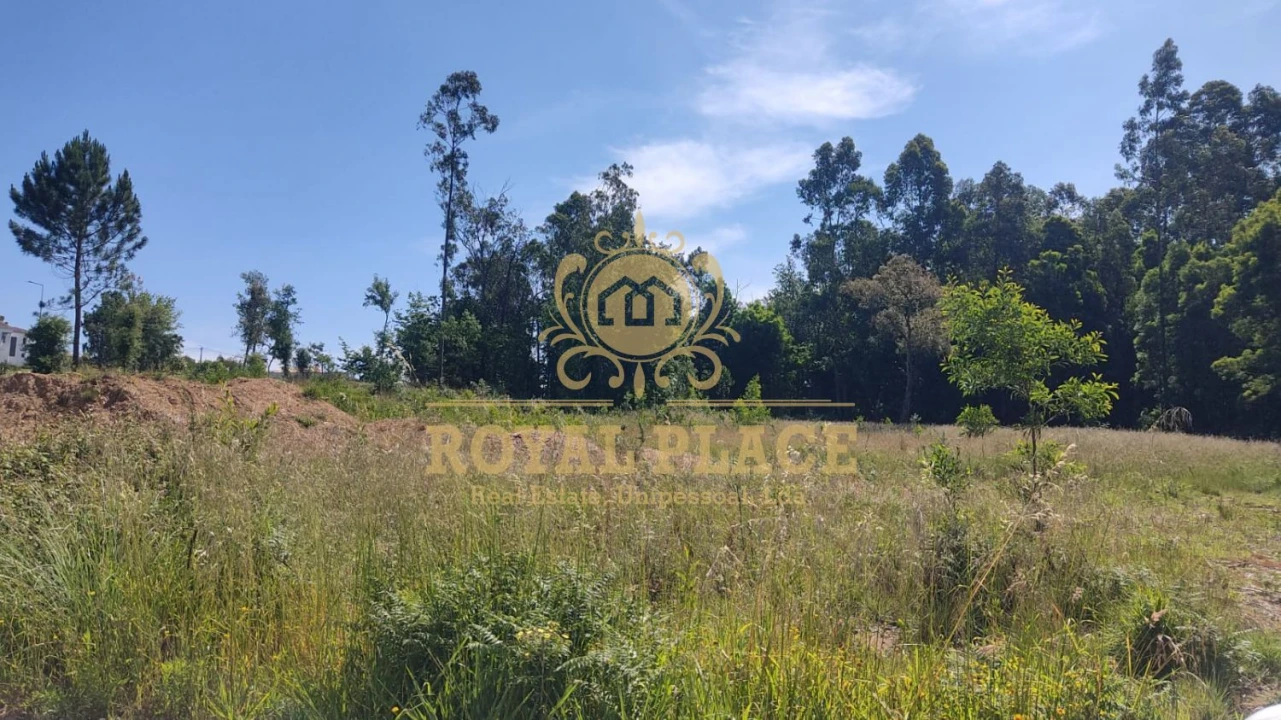 Terreno para Venda em São Miguel do Souto e Mosteirô Foto 4