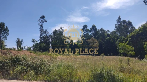 Terreno para Venda em São Miguel do Souto e Mosteirô