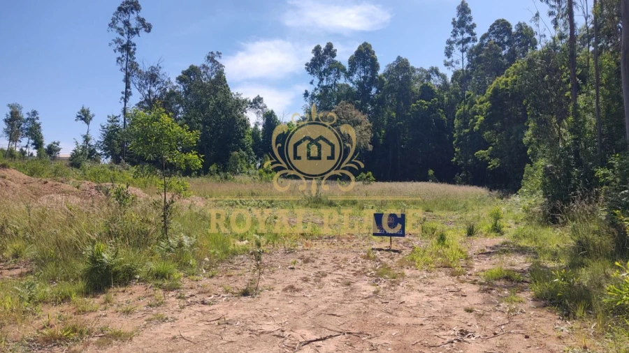 Terreno para Venda em São Miguel do Souto e Mosteirô