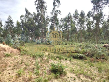 Terreno para Venda em Lobão, Gião, Louredo e Guisande