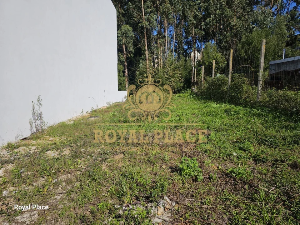 Terreno para Venda em Lobão, Gião, Louredo e Guisande Foto 4