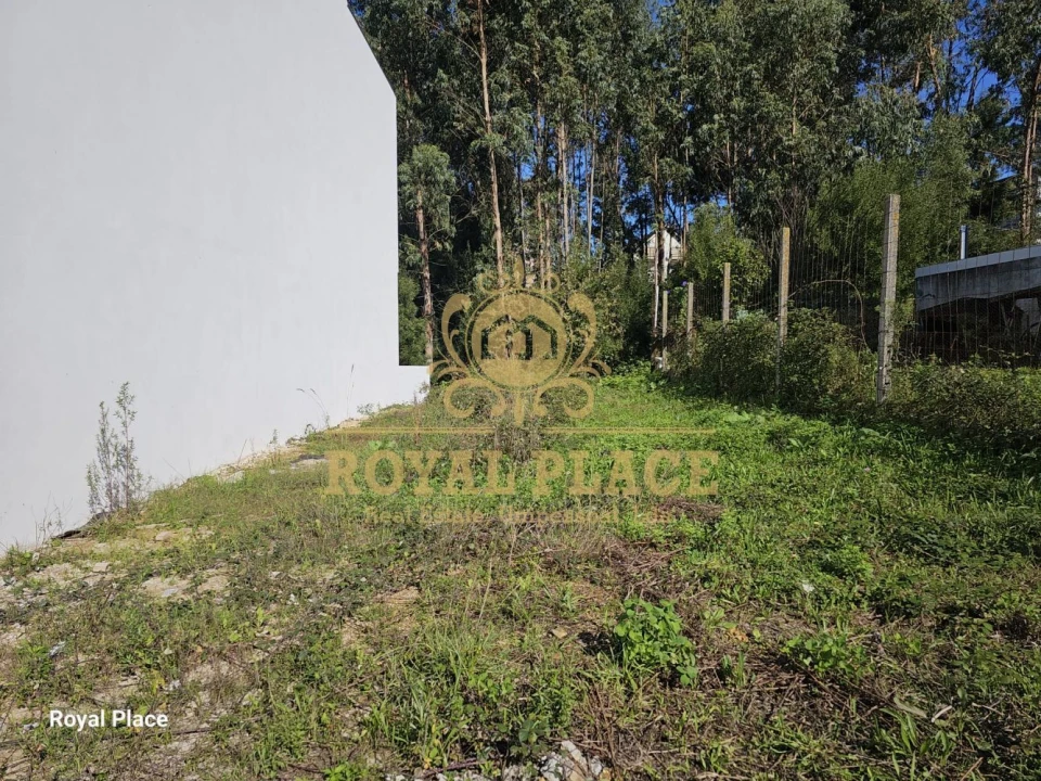 Terreno para Venda em Lobão, Gião, Louredo e Guisande Foto 7