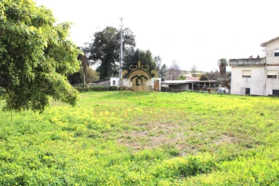 Terreno para Venda em Paços de Brandão