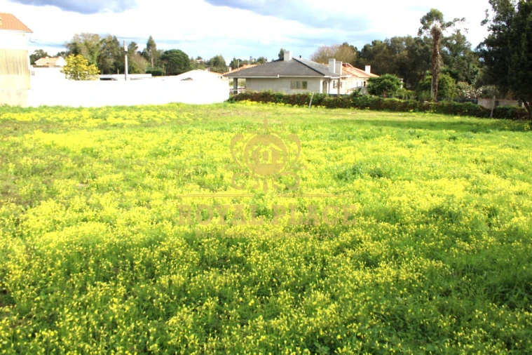 Terreno para Venda em Paços de Brandão Foto 3