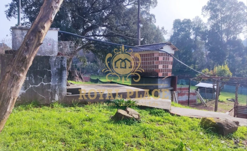 Terreno para Venda em Santa Maria da Feira, Travanca, Sanfins e Espargo Foto 3