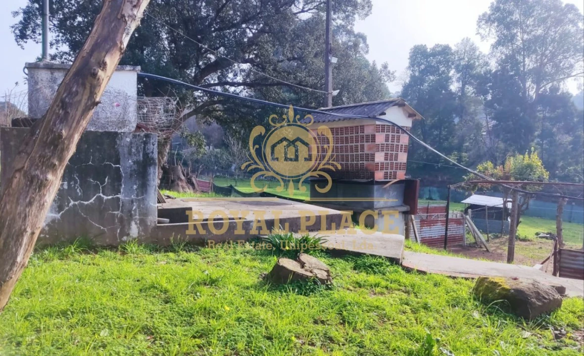 Terreno para Venda em Santa Maria da Feira, Travanca, Sanfins e Espargo Foto 3
