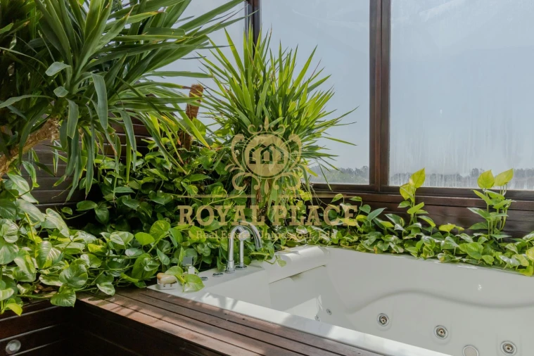 Moradia T4 para Venda em São Miguel do Souto e Mosteirô Foto 41