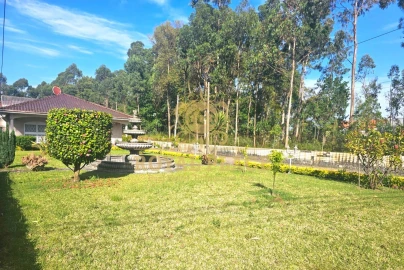 Moradia T3 para Venda em Fiães