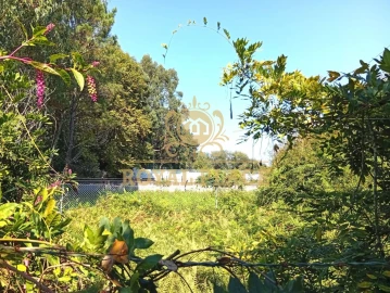 Terreno para Venda em Rio Meão