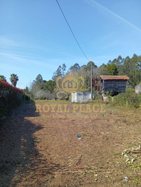 Terreno para Venda em Rio Meão