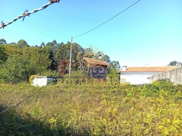 Terreno para Venda em Rio Meão