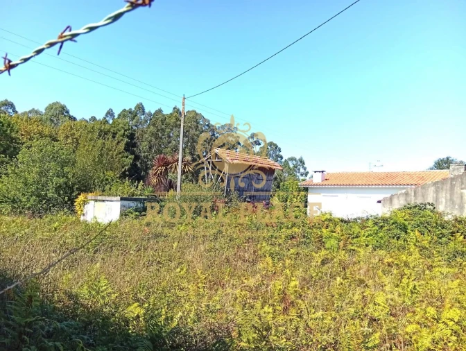 Terreno para Venda em Rio Meão Foto 16