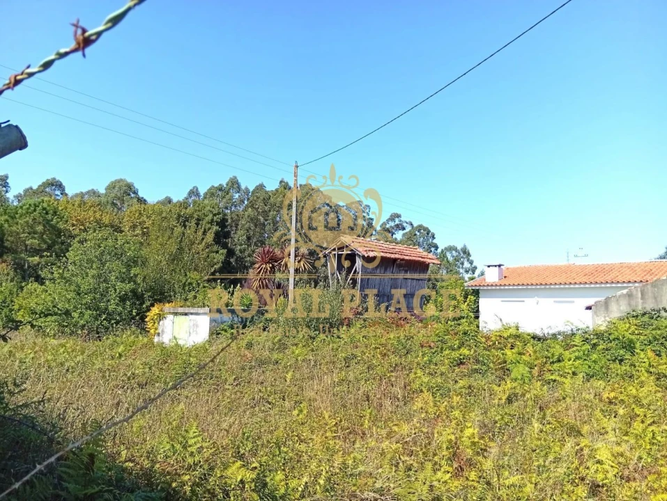 Terreno para Venda em Rio Meão Foto 12