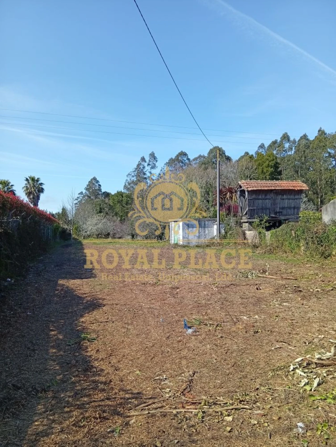 Terreno para Venda em Rio Meão Foto 6